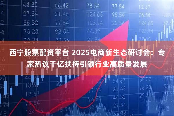西宁股票配资平台 2025电商新生态研讨会：专家热议千亿扶持引领行业高质量发展